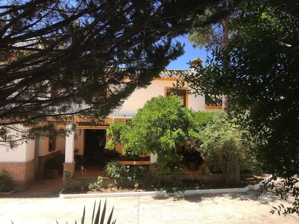 Priego de Córdoba Paredejas Del Rey מראה חיצוני תמונה